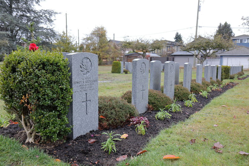Illustration for article titled Pics from the Cemetery: 2017-11-11 at Mountain View